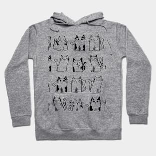 funny cat Hoodie